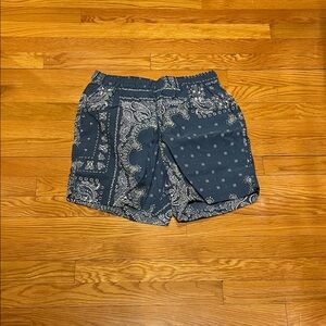 Urban Outfitters Blue Paisley Swim Trunks